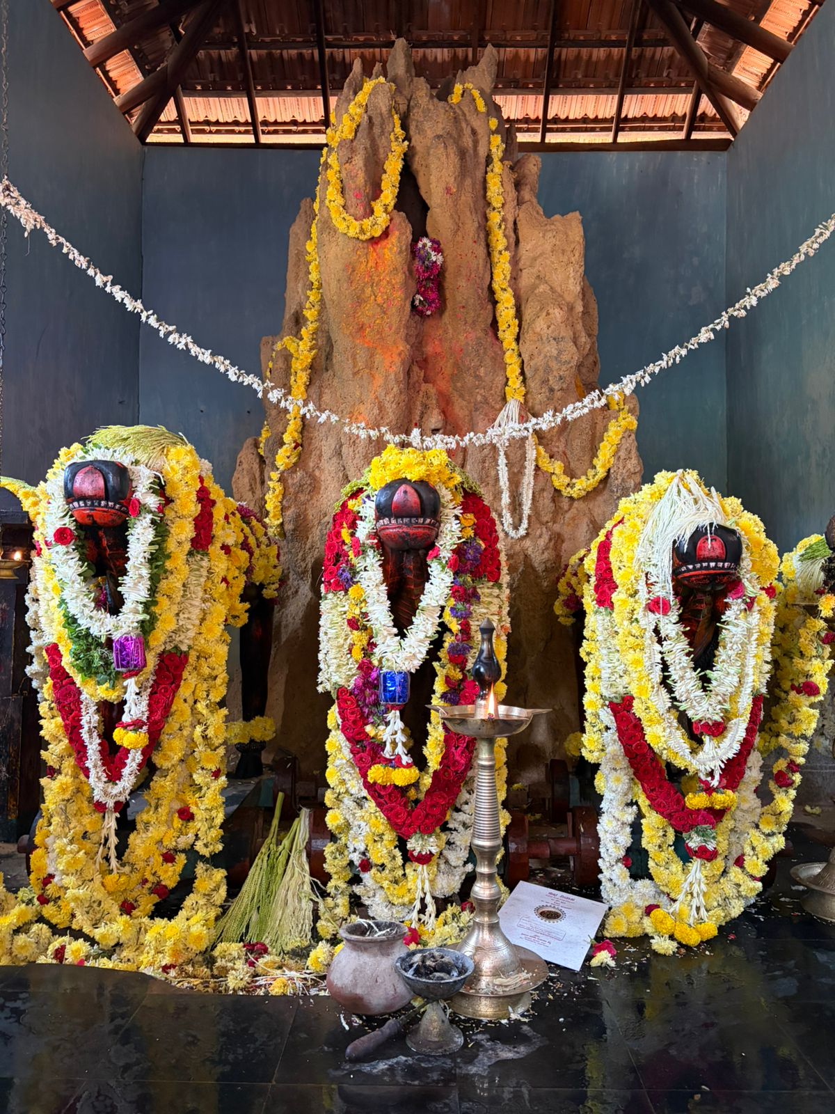Three Nandi murtis before the sacred valmika at Sasi Goli, garlanded for darshan